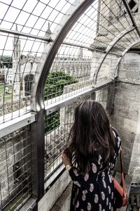 Connect with this beautiful city and celebrate the new TOAST Cambridge store opening. Wander further from the typical tourist routes with this guide to the best places to visit. Read more on Flourish & Wonder...